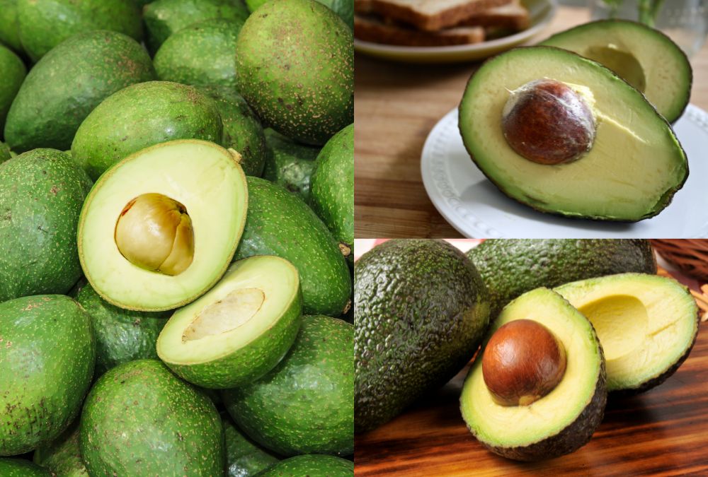 Benefícios do abacate para a saúde e beleza